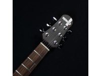 Shergold Provocateur Standard SP12 Dirty Blonde Shergold Provocateur Standard SP12 Dirty Blonde